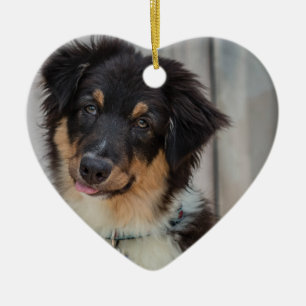 Ornement Cœur En Céramique Chien de berger australien