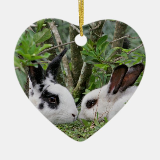 Ornement Cœur En Céramique Couples de lapin (Devant)