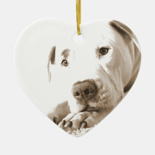 Ornement Cœur En Céramique endormi pitbull blanc amical haine acte pas race