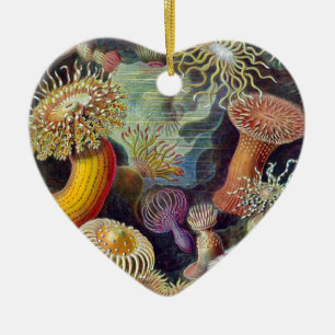 Ornement Cœur En Céramique Ernst Haeckel