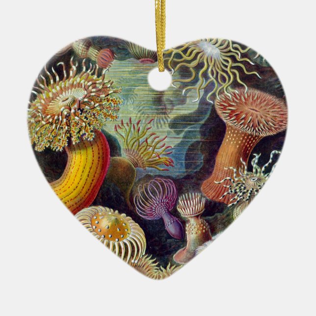 Ornement Cœur En Céramique Ernst Haeckel (Devant)