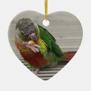 Ornement Cœur En Céramique Freddy le Conure