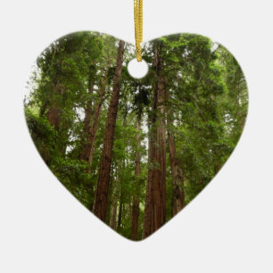 Ornement Cœur En Céramique Jusqu'aux séquoias I à Muir Woods National Monumen