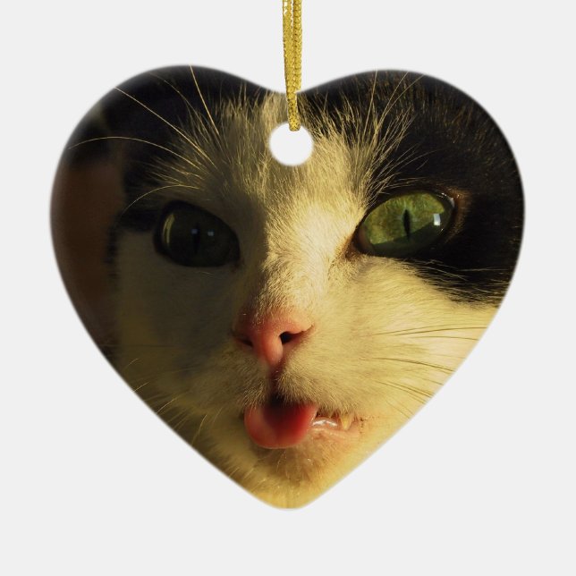 Ornement Cœur En Céramique Langue du chat (Devant)