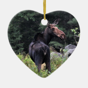 Ornement Cœur En Céramique Oie vache
