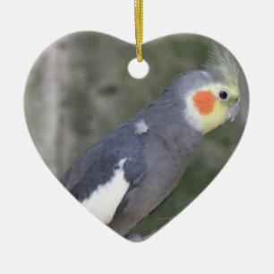 Ornement Cœur En Céramique Oiseau de Cockatiel