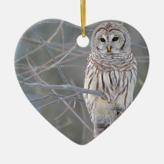 Ornement Cœur En Céramique Strix Varia de hibou barré (Devant)