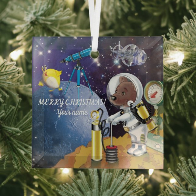 ornement cosmos (Insitu)