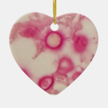 Ornement cryptococcal