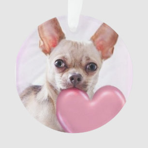 Ornement d'acrilyc de chien du chiwawa de