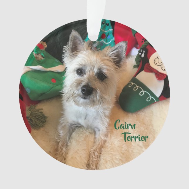 Ornement d'acrylique de Terrier de cairn (devant)