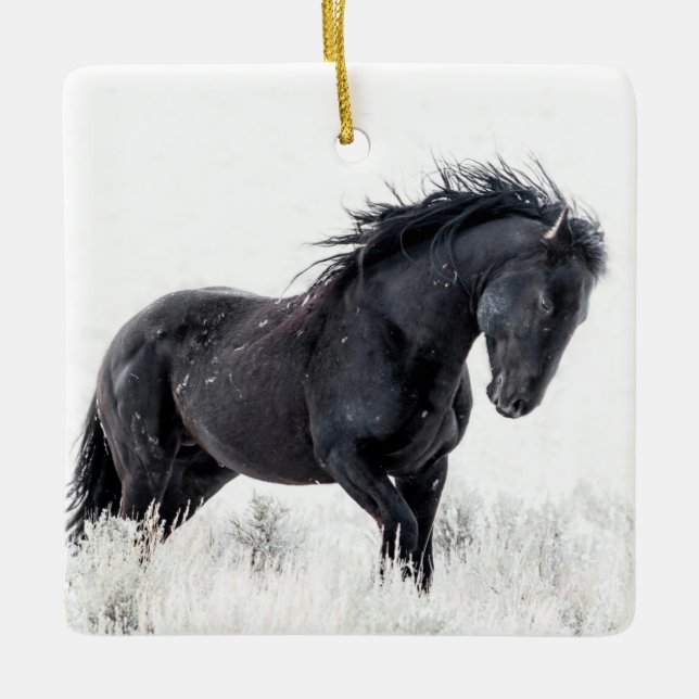 Ornement "Danseuse de glace" (Devant)