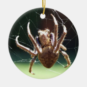 Ornement d'araignée de tisserand de globe de