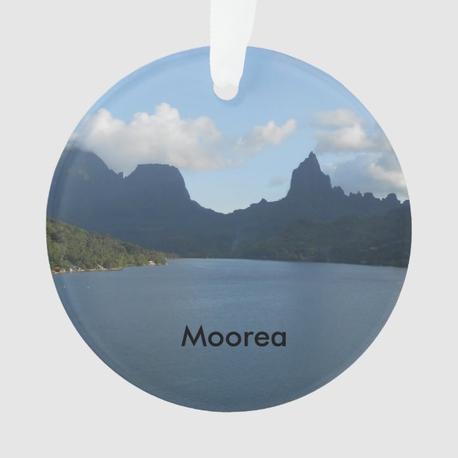 Ornement d'arbre de Noël (devant)