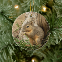 Ornement d'arbre de Noël d'écureuil mignon