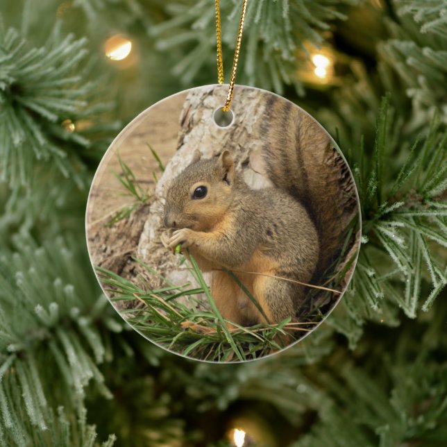 Ornement d'arbre de Noël d'écureuil mignon (Arbre)