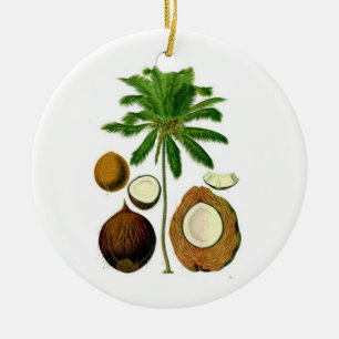 Ornement d'arbre de noix de coco