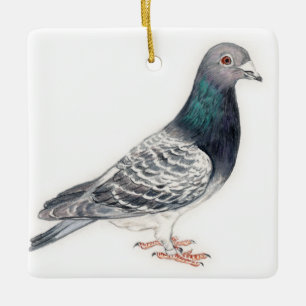 Ornement d'art ornithologique de Pigeon II