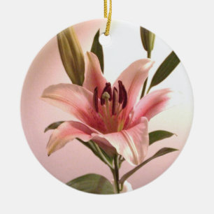 Ornement d'astronome