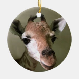 Ornement de 2018 vacances ; Penny la girafe