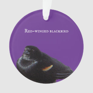 Ornement de Blackbird à ailes rouges