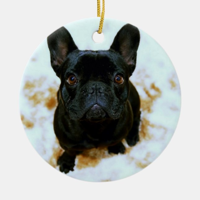 Ornement de Bulldog Français avec votre photo (Devant)