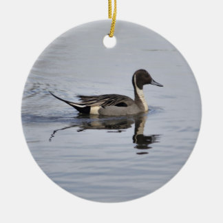 Ornement de canard à ongles
