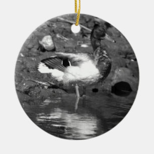 Ornement de canard de Mallard