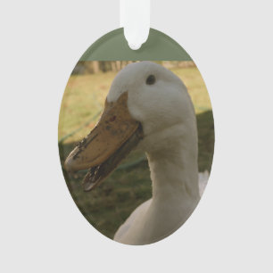 Ornement de canard de Pekin