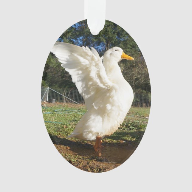 Ornement de canard de Pekin (devant)