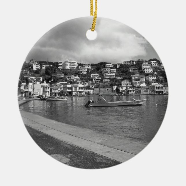 Ornement de Carenage (Devant)