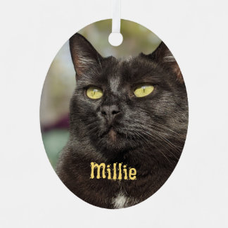 Ornement de chat personnalisé