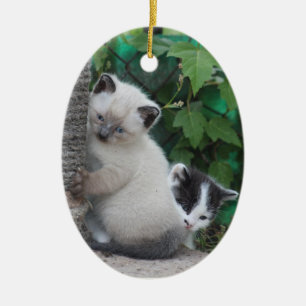 Ornement de chatons