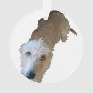 Ornement de chien astucieux