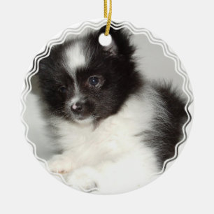 Ornement de chien de Pomeranian de jouet
