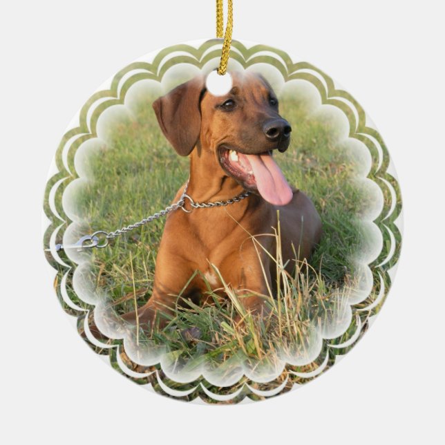 Ornement de chien de Rhodesian Ridgeback (Devant)