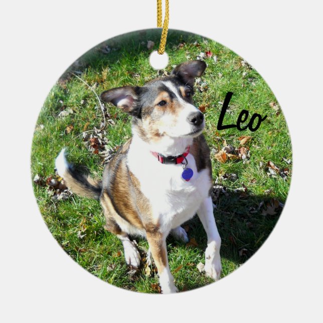 Ornement de chien personnalisé (Devant)