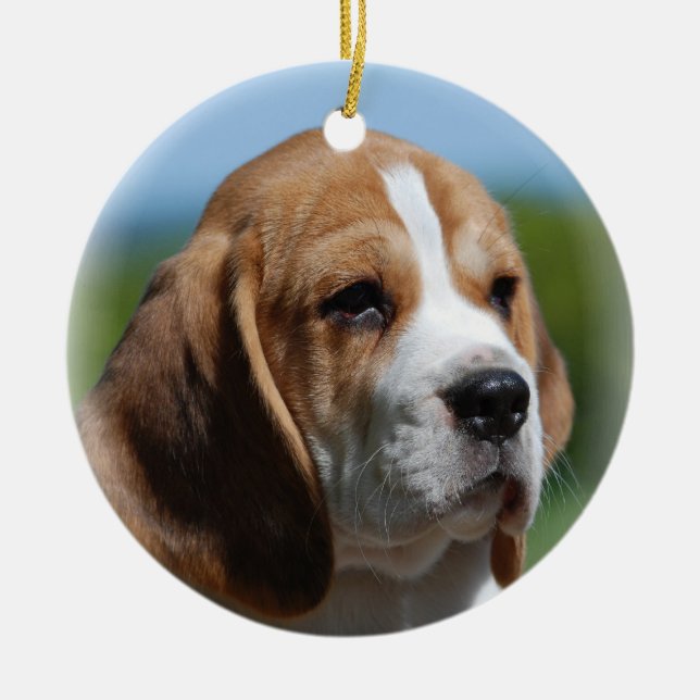 Ornement de chiot de beagle (Devant)