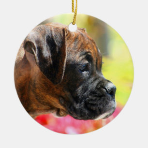 Ornement de chiot de boxeur