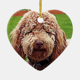 Ornement de coeur de peinture de griffonnage