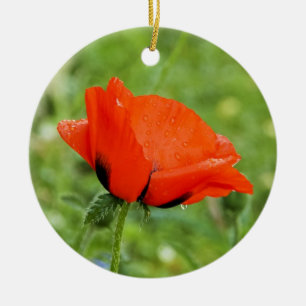 Ornement de coquelicot