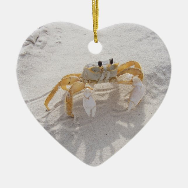 Ornement de crabe de sable (Devant)