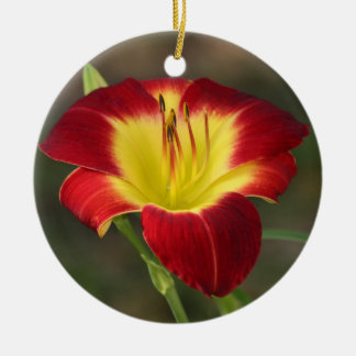 Ornement de Daylily