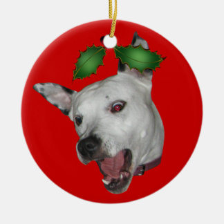 Ornement de Facemauler de baiser