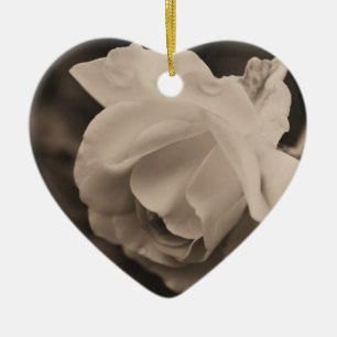 Ornement de fleur de Rosebud de sépia