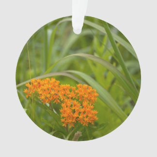 Ornement de fleurs sauvages orange