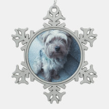 Ornement de flocon de neige