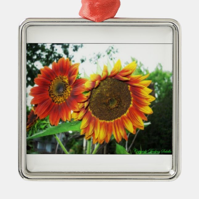 Ornement de Flora d'arbre de Noël (Devant)