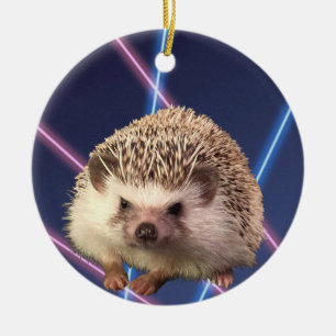 Ornement de Hedgehog