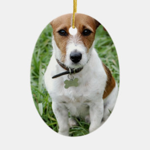 Ornement de Jack Russell